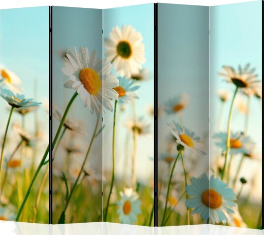 Romdeler - Daisies - spring meadow II 225x172 - Artgeist sp. z o. o.