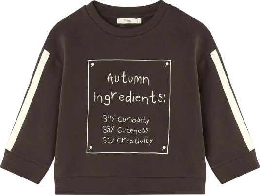 Fliink Alvin Autumn Sweatshirt   COFFEE BEAN   80