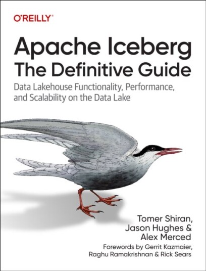 Apache Iceber The Definitive Guide Apache Iceber The Definitive Guide