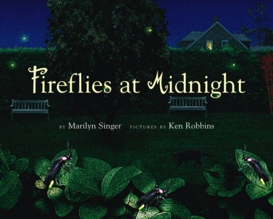 Fireflies at Midnight Fireflies at Midnight