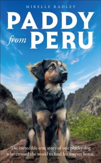 Paddy from Peru Paddy from Peru