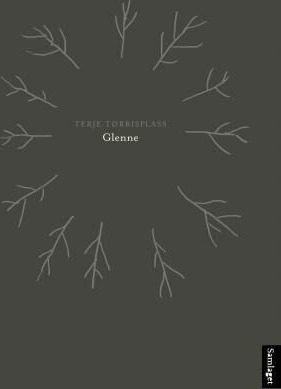 Glenne Av Terje Tørrisplass