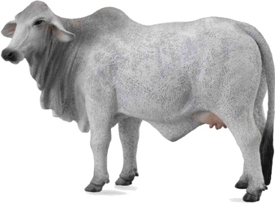 Collecta Cow Brahman L
