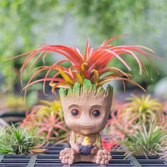 Baby Groot, Blomsterpotte - Fuglereir
