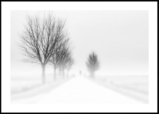 Misty Winter Road Plakat / 70x100 Misty Winter Road Plakat / 70x100