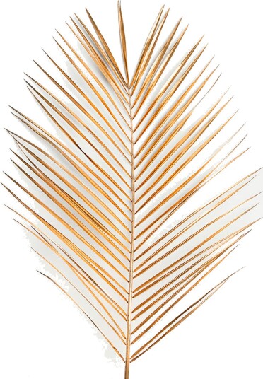MalerifabrikkenPoster Palm leaf goldGullPostere