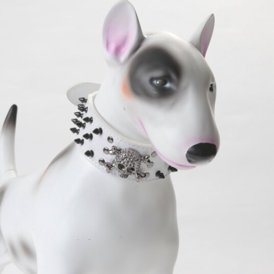 Nagle Og Hodeskalle Halsbånd Til Hund Nagle Og Hodeskalle Halsbånd Til Hund