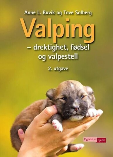 Valping Av Anne L. Buvik, Tove Solberg