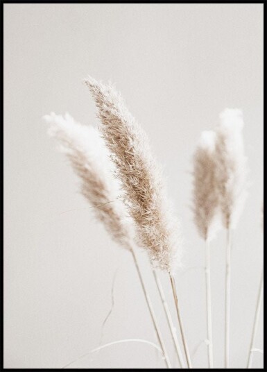 Dried Nature Plakat Plakat / 100x150cm