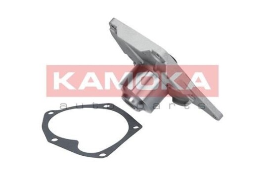 Vannpumpe KAMOKA T0214