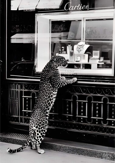 Leopard Cartier Plakat