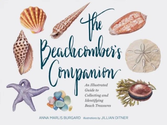 Beachcomber'S Companion Av Jillian Dittner Beachcomber'S Companion Av Jillian Dittner