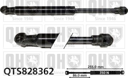 QUINTON HAZELL QTS828362 Baklukedemper
