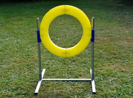 Agility Profi Hoppring Pro-Serie 63Cm Agility Profi Hoppring Pro-Serie 63Cm