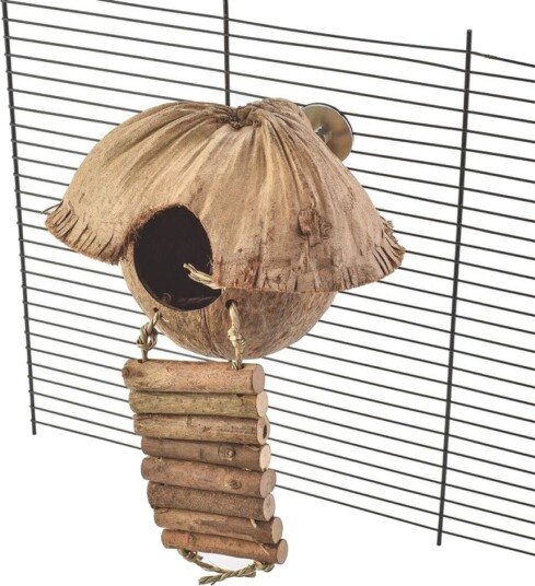 Quapas! Cozy Hengende Fugleleke Med Krypinn Kokosnøtt