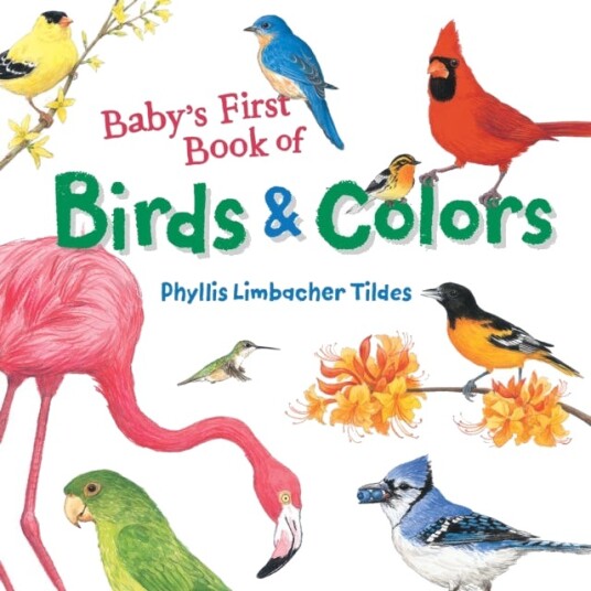 Baby'S First Book Of Birds & Colors Av Phyllis Limbacher Tildes Baby'S First Book Of Birds & Colors Av Phyllis Limbacher Tildes