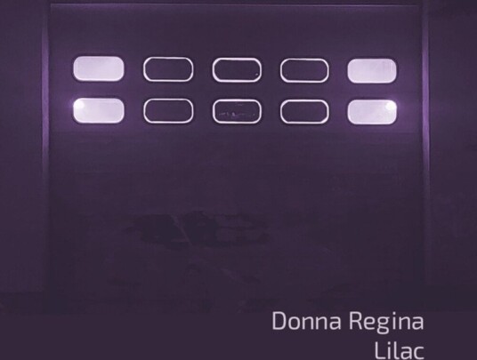 Lilac Usa Vinyl