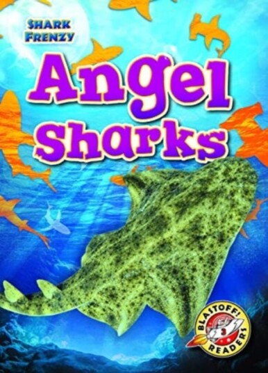 Angel Sharks Angel Sharks