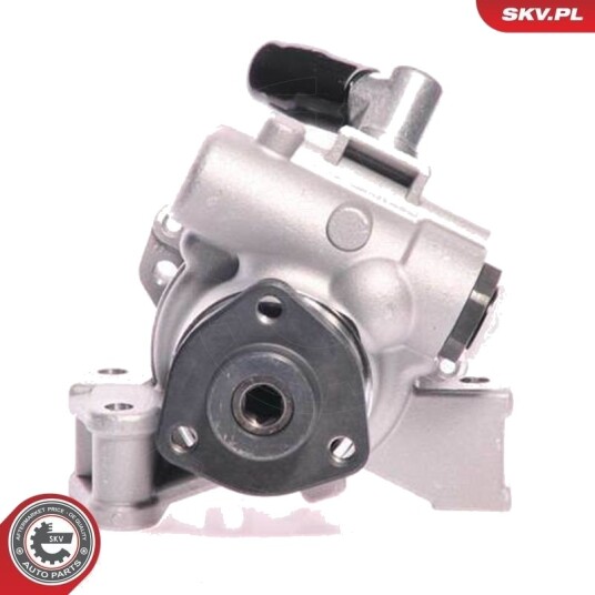ESEN SKV 10SKV148 Servopumpe