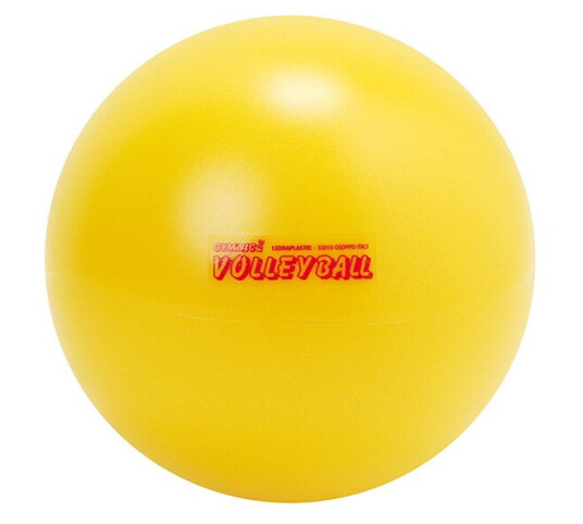 Gymnic Ball Volleyball 21 cm