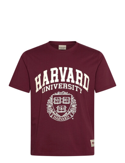 Jack & Jones Jorharvard Tee Ss C.n Styd Ss25 - Burgundy - S
