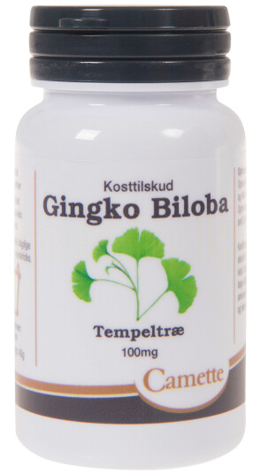 Camette Ginkgo Biloba 90 Stk Camette Ginkgo Biloba 90 Stk