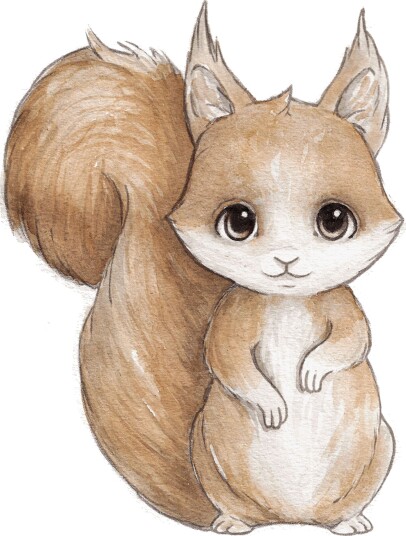 Stickstay Sandy The Squirrel Veggklistremerke Stickstay Sandy The Squirrel Veggklistremerke