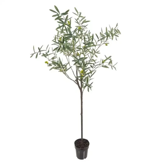 Mr Plant Oliventre 170 cm Mr Plant Oliventre 170 cm