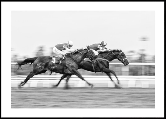 Dynamic Horse Race Plakat / 100x150