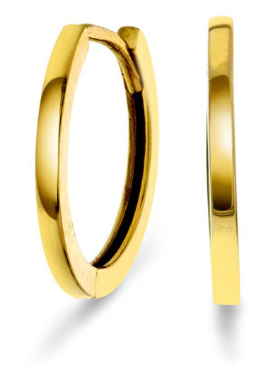 Pan Jewelry Øreringer i 585 gult gull