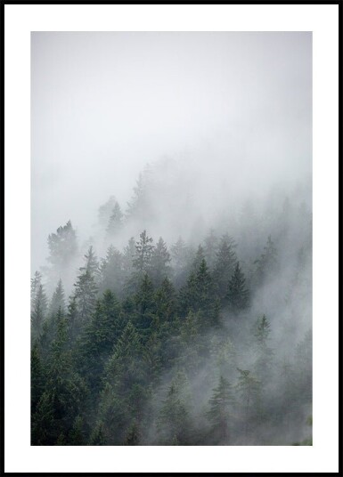 Foggy Morning 2 Plakat Plakat / 40x50cm Foggy Morning 2 Plakat Plakat / 40x50cm