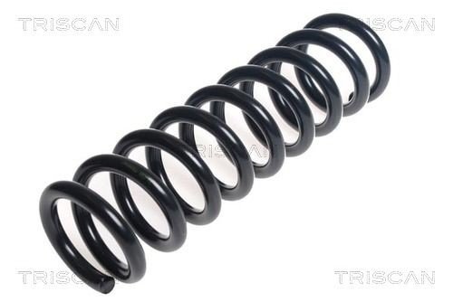 Fjær TRISCAN 8750 14118