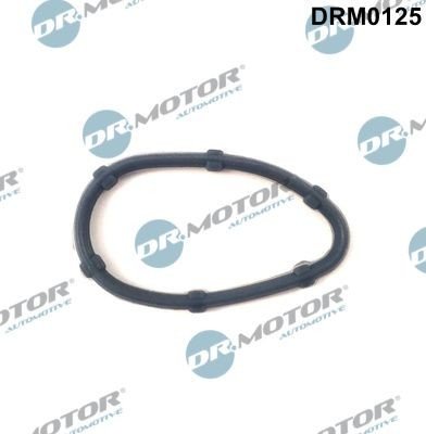 Tetning eksosmanifold Dr.Motor Automotive DRM0125