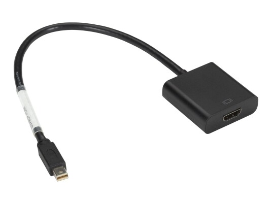 BLACK BOX video adapter - DisplayPort / HDMI - 30.5 cm BLACK BOX video adapter - DisplayPort / HDMI - 30.5 cm