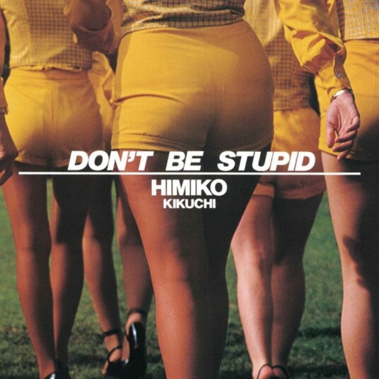 Dont Be Stupid Vinyl