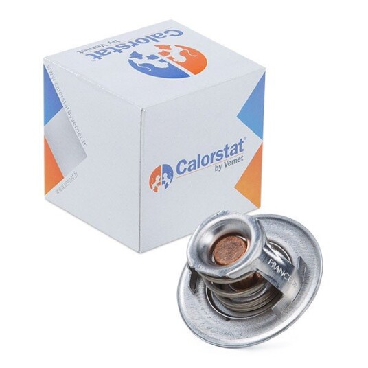 Termostat CALORSTAT by Vernet TH1416.82J
