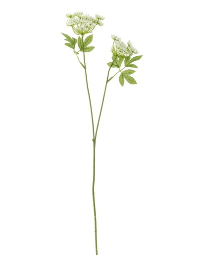 Bloomingville Fennel Stem White H66CM Bloomingville Fennel Stem White H66CM