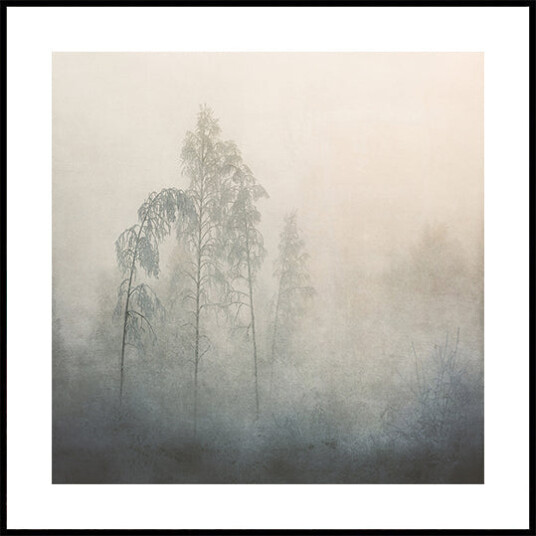 Whispers Through the Mist Plakat Plakat / 70x70cm