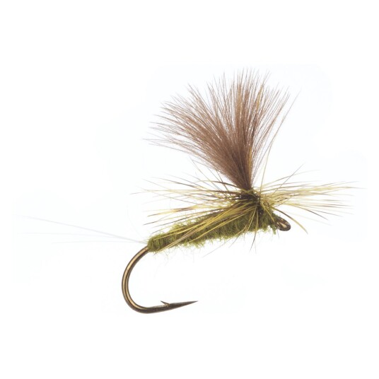 Arcticflies Tørrflue Mayfly Paradun Olive