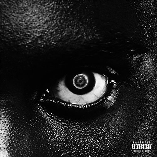 Lithopedion Vinyl