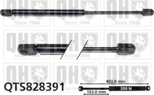 QUINTON HAZELL QTS828391 Baklukedemper