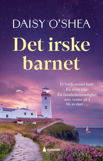 Det irske barnet Det irske barnet