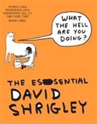 Shrigley David What The Hell Are You Doing?: The Essential David Shrigley
