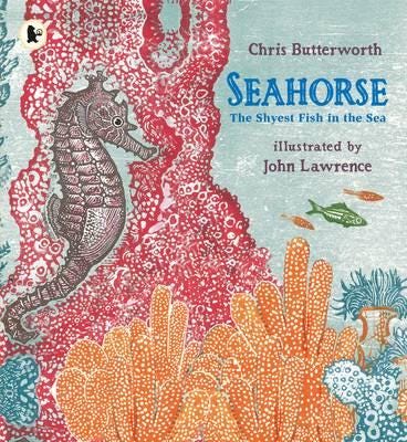 Seahorse: The Shyest Fish In The Sea Av Chris Butterworth