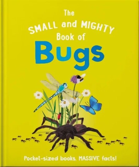 The Small And Mighty Book Of Bugs Av Catherine Brereton