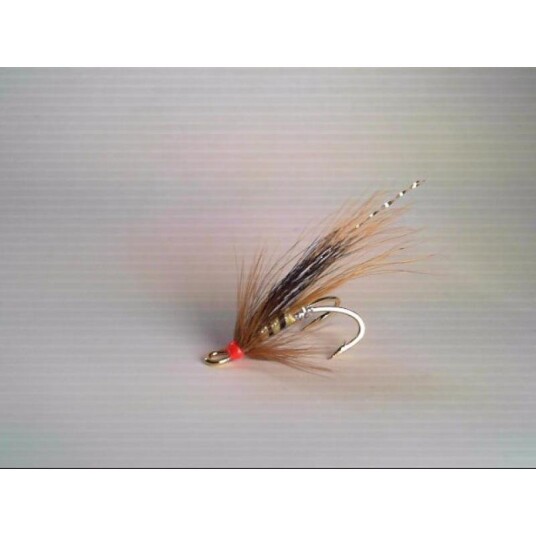 Arctic Import Miss Shalita Gull DB - 10