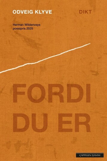 Fordi du er