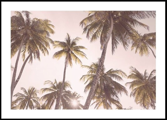 Blush Palm Trees Plakat / 21x30cm