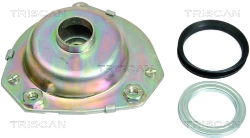 TRISCAN 8500 10901 Fjærbeinslager