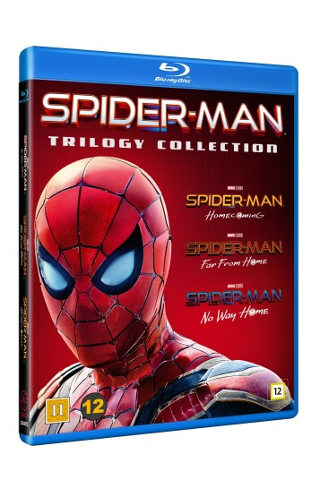 SpiderMan 13 (2017 / 2019 / 2021)